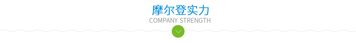 摩爾登實力
